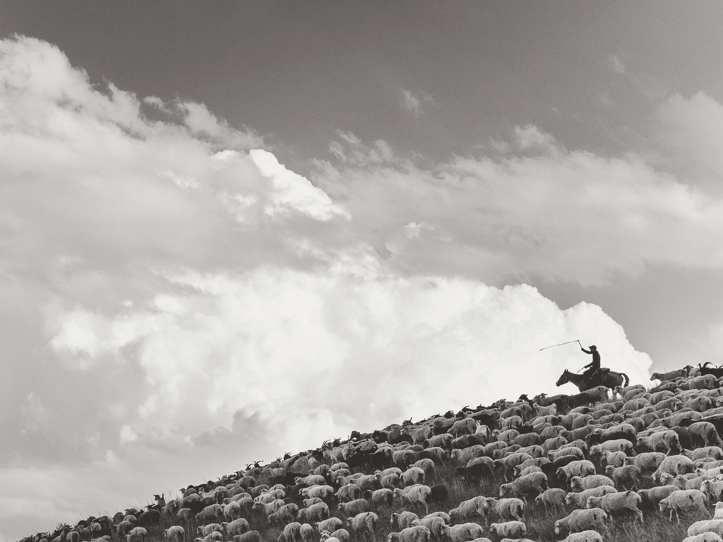 Photo préférée du tour du monde à vélo avant de devenir photographe de mariage à Dijon.
