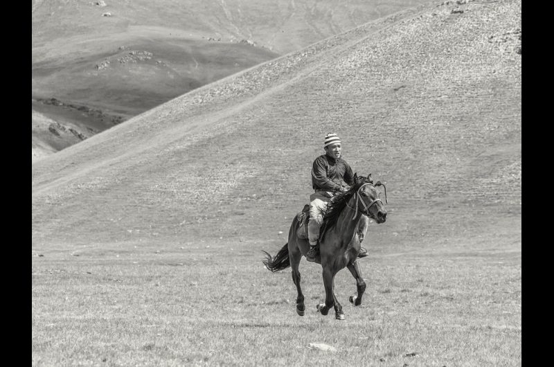 Bouzkachi 16 Bouzkachi 16