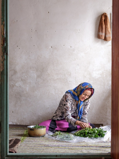 iran portrait iran portrait