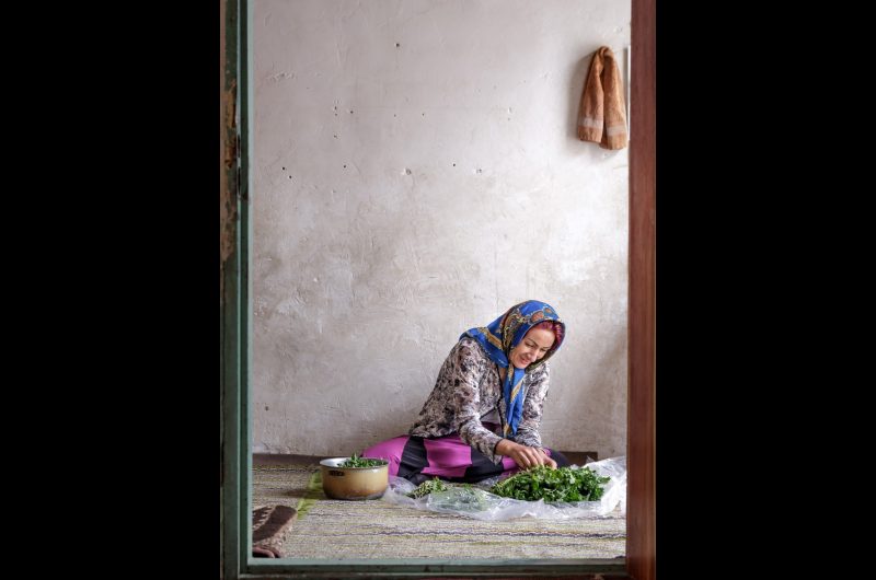 iran portrait iran portrait