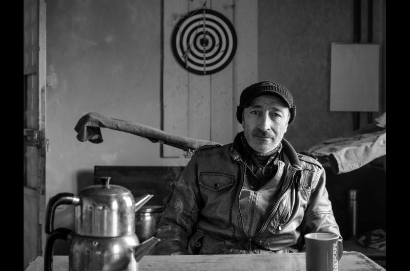 turkey portraits turkey portraits
