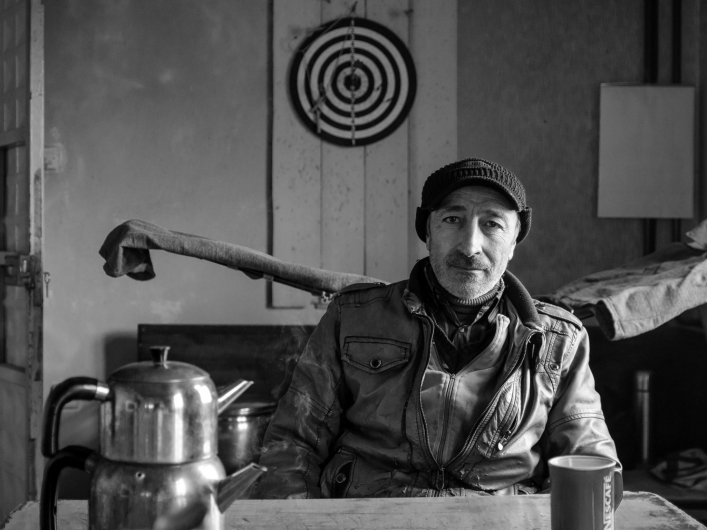 turkey portraits turkey portraits